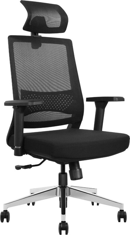 Ergonomische bureaustoel stane