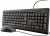 Trust TKM-250 TOETSENBORD EN MUIS SET US – BUSINESS MODEL
